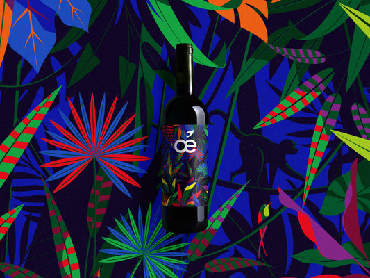 Cannellonis gourmands et Suze-la-Rousse x Malika Favre