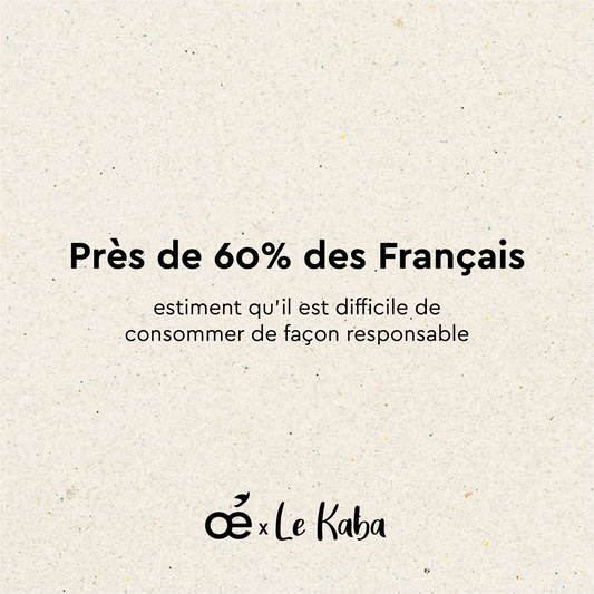 Le Kaba, comparateur de solutions éco-responsables : vous connaissez ?