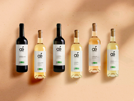 La consigne et le réemploi des bouteilles en verre : pourquoi on doit tous s’y mettre !