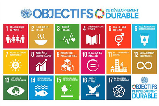 Oé et les Objectifs du Développement Durable