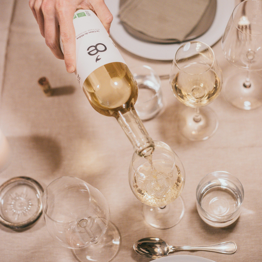 Pappardelles champignons, poireaux, crème & Chardonnay