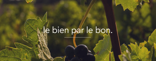 Bio vs Conventionnel : mode ou prise de conscience ?