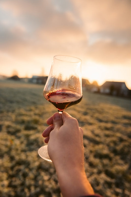Dégustation : les larmes et les jambes du vin