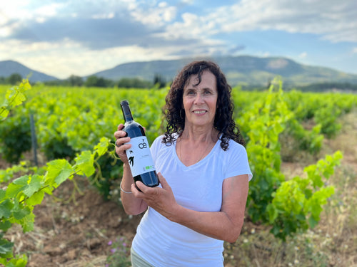 Le Languedoc