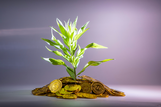 La finance au service du climat