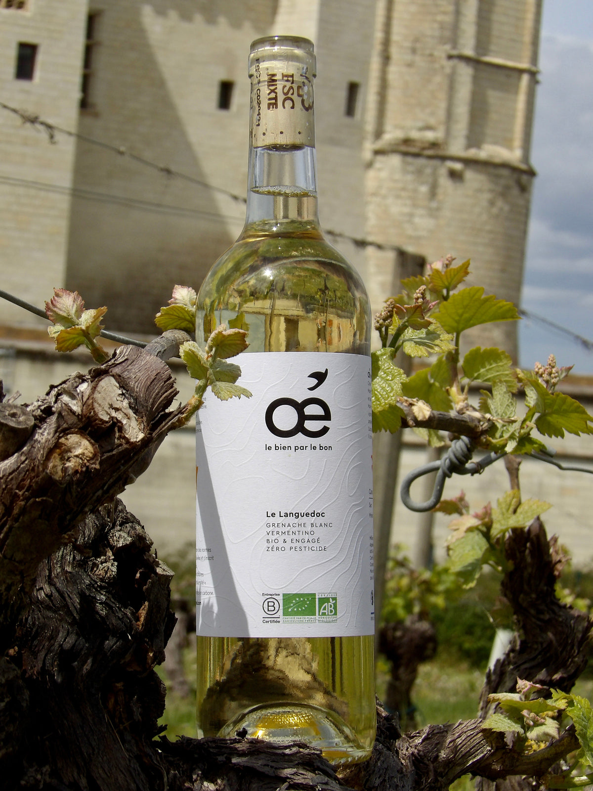 L'entretien du sol et de la vigne en viticulture biologique selon les saisons