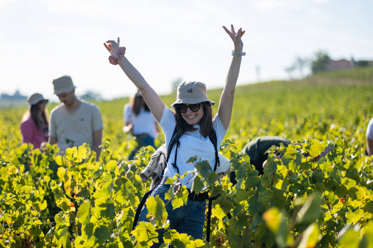 La biodynamie en Bourgogne : la Route des Vins 
