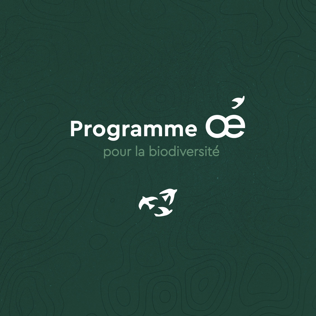 Oé, nous lançons le "Programme Oé pour la biodiversité" !