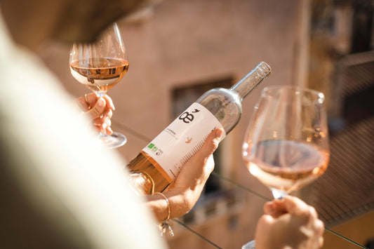 Raisins de Plus : découvrez le 1er bar à vin vegan de France à Bordeaux