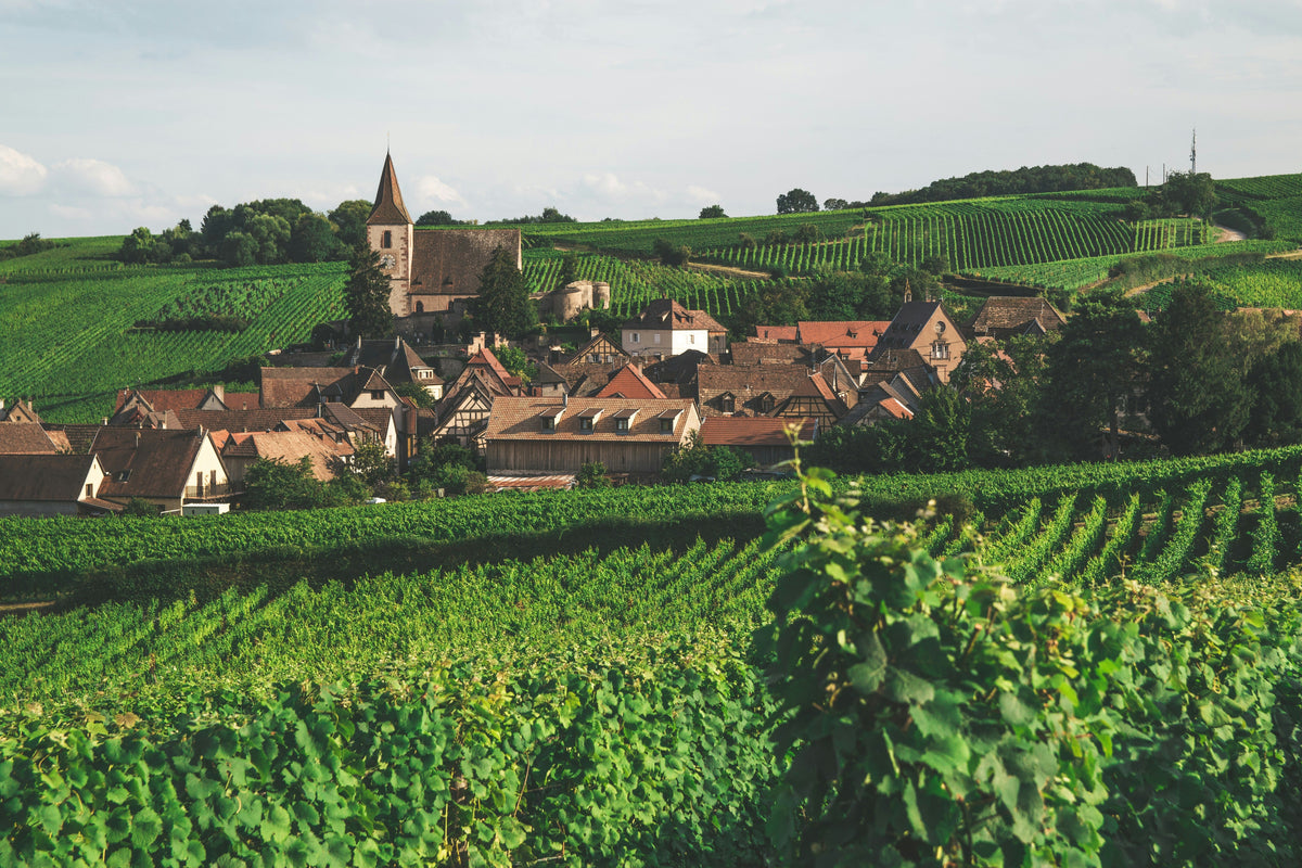 L’Alsace : Une région magnifique et pleine d’atouts !