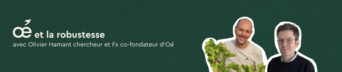 Oé et la robustesse