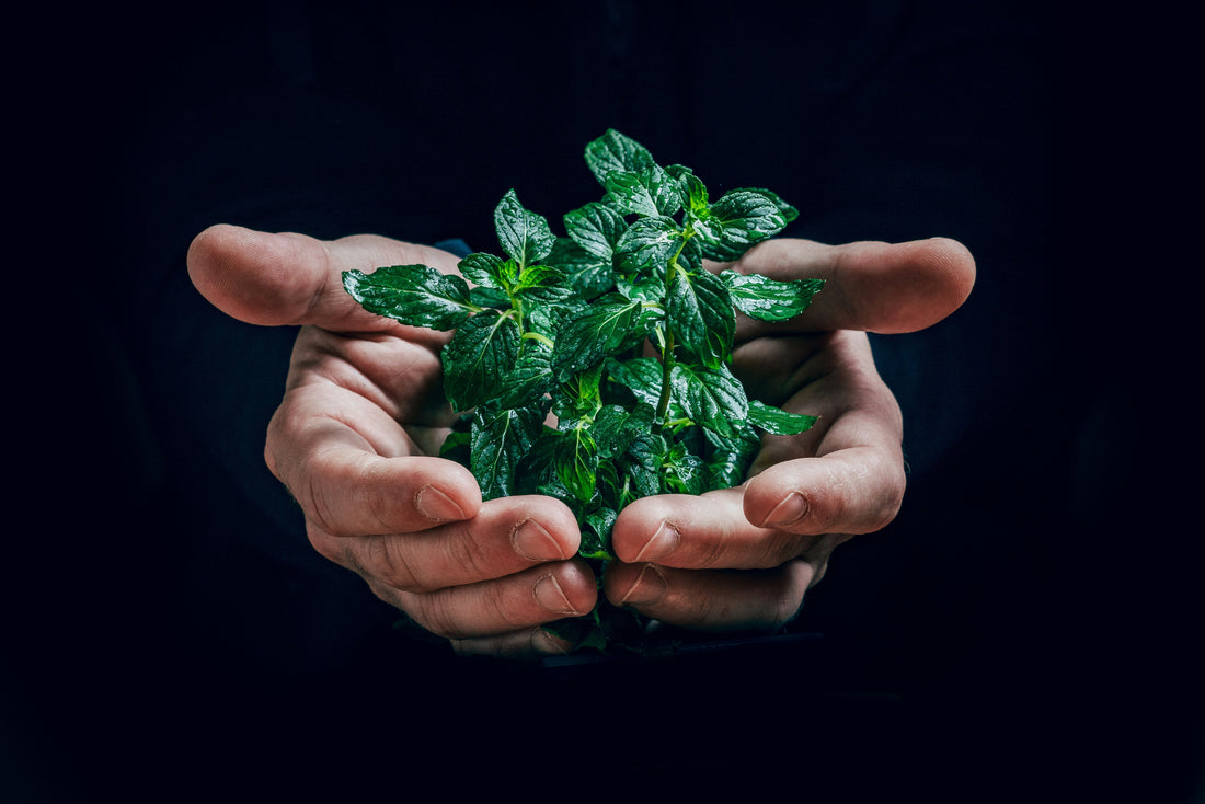 Engagez-vous pour l'environnement en changeant de banque !