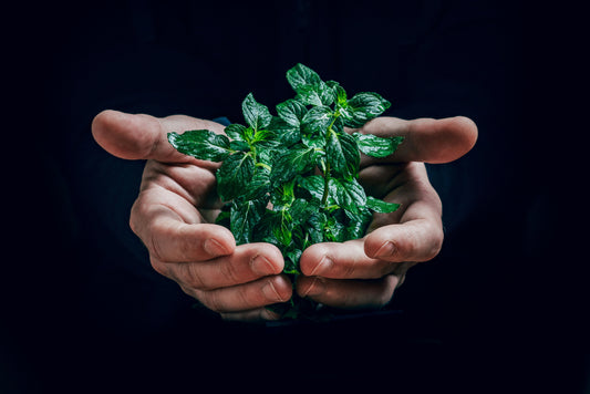 Engagez-vous pour l'environnement en changeant de banque !