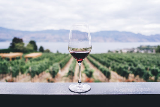 4 bonnes raisons de boire du vin bio et naturel