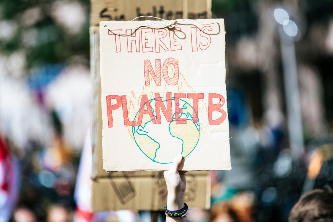 Réchauffement climatique : comment faire changer les choses à son échelle ?