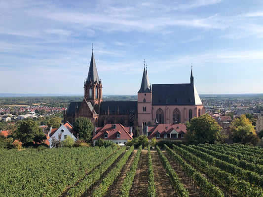 La biodynamie en Bourgogne : la Route des Vins 