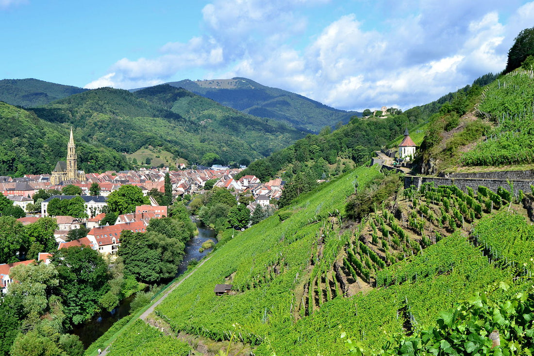 L’Alsace : Une région magnifique et pleine d’atouts !