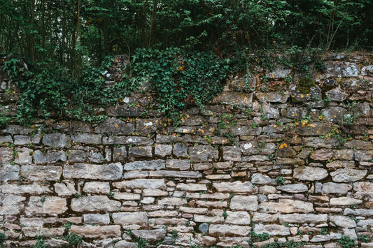 Murs de pierres sèches et pierriers : un abris pour la biodiversité