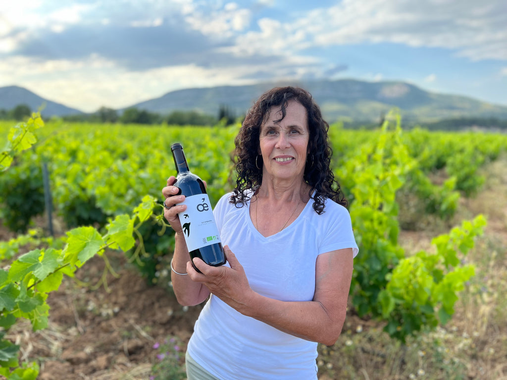Le Languedoc
