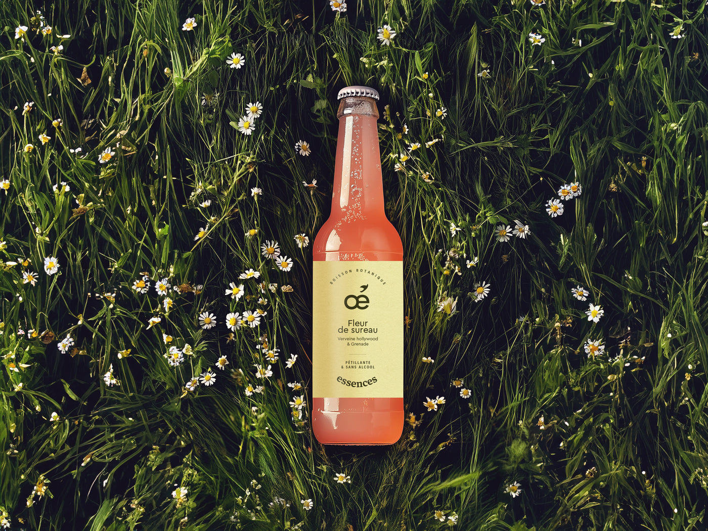 Mix Essences d'Oé x 12