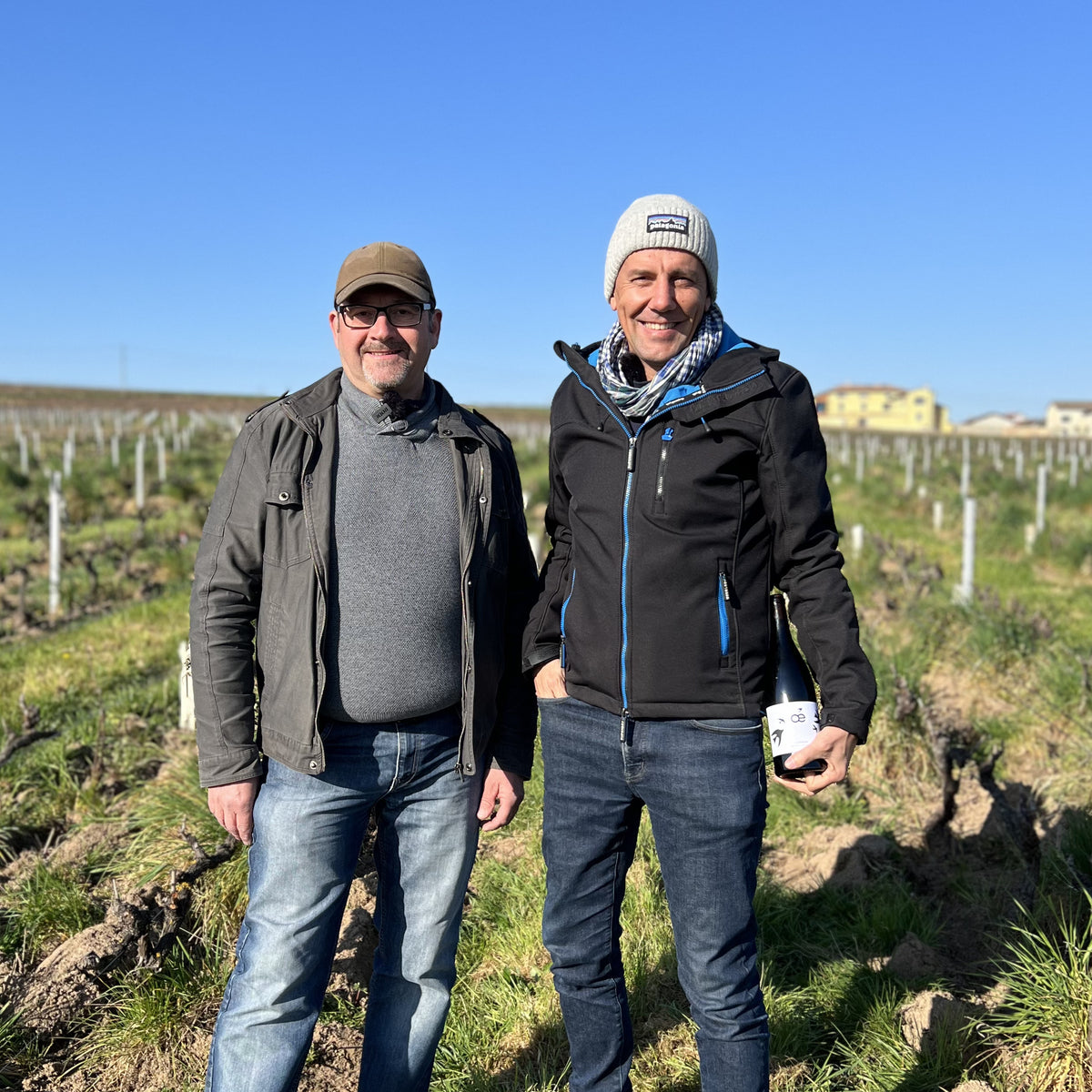 Le Brouilly