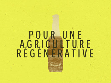 Essence Écorce d'Oé x12