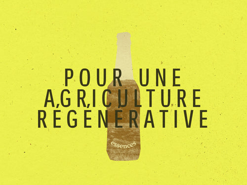 Essence Écorce d'Oé x12