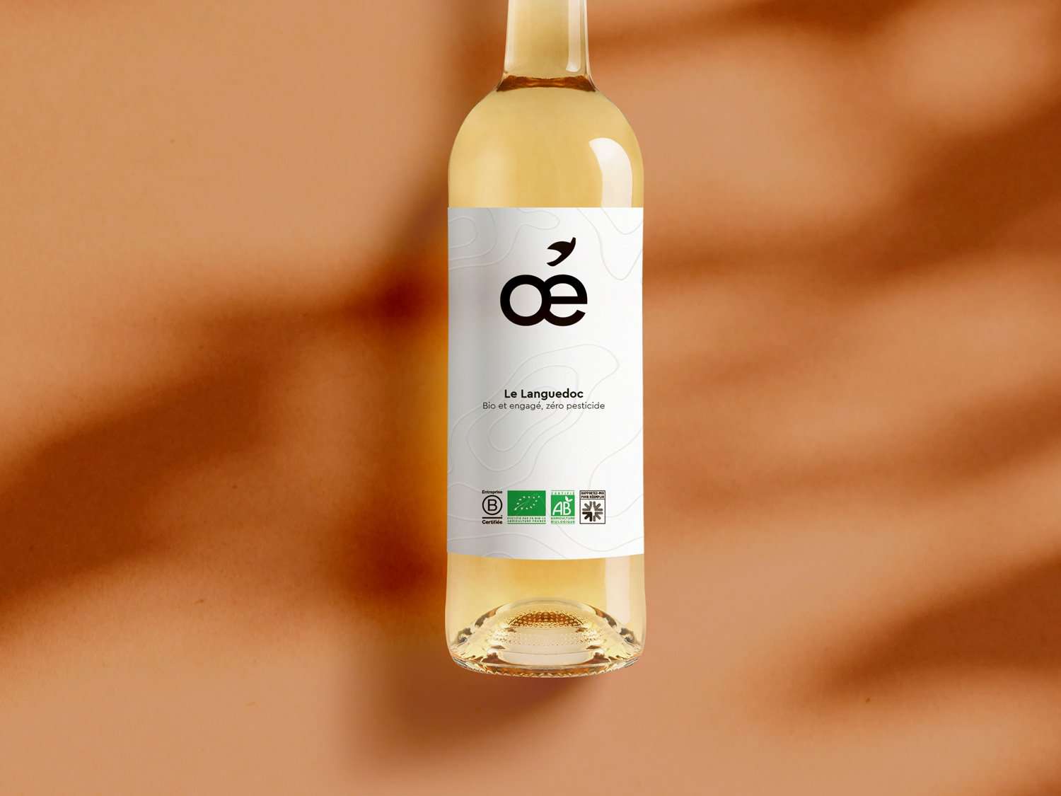 Coffret de Vin Blanc - 3 bouteilles - Côtes du Rhône blanc et bio